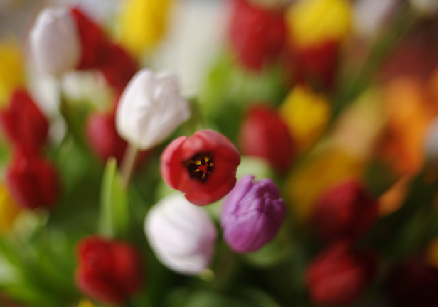 DSC_9724ds DSC_9724ds